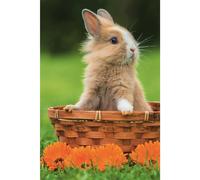 TREFL Puzzle Animaux mignons : Lapin dans le panier 54 pièces