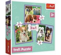 TREFL Puzzle Chiots mignons 3in1 (20,36,50 pièces)