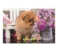 TREFL Puzzle Cute Animals : Curious Dog 54 parts