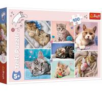 TREFL Puzzle Dans le monde du chat 100 pièces