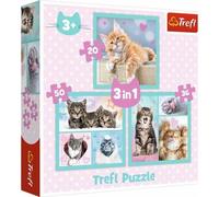 TREFL Puzzle Mignons chatons 3in1 (20,36,50 pièces)