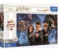 Trefl, Monde Magique de Harry Potter 160 XL Super Shape Forme Folle, Grandes Pièces, Puzzle avec Les Personnages du Film, 50034, Taille Unique