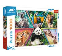 Trefl - Royaume d'animaux - 1000 Pièces, Puzzles d'animaux, Animaux du Monde, Cadres Colorés, Puzzle, Divertissement Créatif, Cadeau, Amusement, Puzzles Classiques