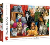 Trefl TR10555 Rencontre des chats 1000 pièces, qualité supérieure, pour adultes et enfants à partir de 12 ans Puzzle, couleur