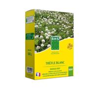 Trèfle Blanc - BHS - 500 m²| Favorise la biodiversité, s’adapte à tous types de sols et résiste au piétinement.