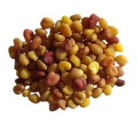 Trèfle Blanc Nain Non Traité Trèfle Blanc - 40 grammes - Trifolium Repens L. (Engrais Vert) SEM06