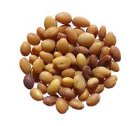 Trèfle d'Alexandrie - 40 grammes - Trifolium Alexandrinum L. - Berseem Clover - (Engrais vert) - SEM05