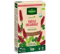 Trèfle Incarnat - BIO - Grand Modèle
