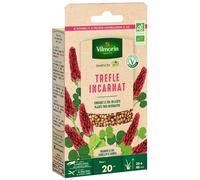 Trèfle Incarnat - BIO - Petit Modèle