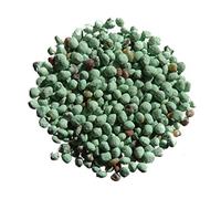 Trèfle Micro Nain Pipolina (enrobé : Vintage Blue Color) - Trifolium Repens (Engrais Vert) SEM14