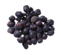 Trèfle Souterrain - Trifolium Subterraneum L. (Engrais Vert) SEM05 (40 grammes)