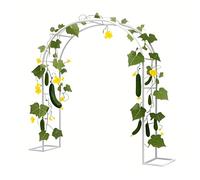 Treillis d'arche de jardin en acier pour plantes grimpantes, pergola en métal pour terrasse et jardin, arche de mariage, structure de support, design durable et élégant