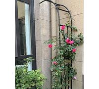 Treillis d'arche de jardin en métal de 2,4 m, résine résistante aux intempéries, support robuste pour roses, pergola murale, décoration de paysage extérieur