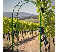 Treillis d'arche de jardin en métal pour plantes grimpantes et roses - Robuste et décoratif - Résistant aux intempéries - 220 à 230 cm de hauteur - Vert - Parfait pour l'aménagement paysager extérieur