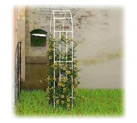 Treillis d'arche de jardin en métal pour plantes grimpantes, support décoratif robuste pour améliorer la beauté du jardin extérieur