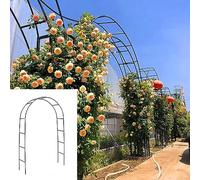 Treillis d'arche de jardin pour plantes grimpantes - 240 cm x 180 cm x 140 cm - Cadre en métal durable - Décoration de jardin pour vignes, fleurs et aménagement paysager extérieur - Vert - 3 x 2,2 m