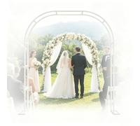 Treillis d'arche de jardin pour plantes grimpantes, arche en métal robuste pour plantes grimpantes, idéal comme décoration pour les mariages et les fêtes prénuptiales (blanc, 299,7 x 229,7 cm (l x H)