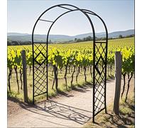 Treillis d'arche de jardin pour plantes grimpantes et fleurs, cadre de support en métal robuste, design résistant aux intempéries, parfait pour les patios et les cours - Améliorez votre décoration
