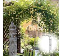 Treillis d'arche de jardin robuste noir - 90 cm x 240 cm - Support demi-rond résistant aux intempéries pour plantes grimpantes, roses et vignes - Idéal pour les mariages et la décoration extérieure
