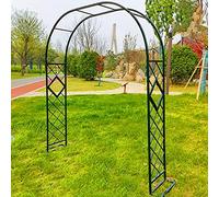 Treillis d'arche en métal pour plantes grimpantes, pergola de jardin robuste et décoration d'arche de mariage, structure de support pour plantes d'extérieur