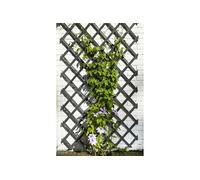 Treillis extensible - NATURE - Bois - 150 x 50 cm - Anthracite - Avec set de fixation