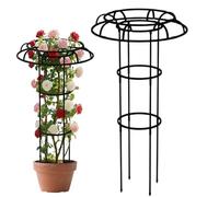 Treillis de Jardin Artistique - Poteau Vertical pour grimpantes, Support Floral résistant aux intempéries, Tour de Vigne en Pot, Cadre décoratif en métal pour clématites, Support topiaire pour