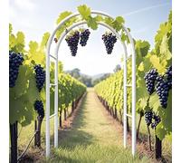 Treillis de jardin autoportant en métal réglable 120-250 cm pour mariage et jardin Blanc 1,2 x 2,20 m