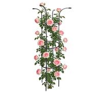 Treillis de jardin décoratif vertical antirouille stable | Treillis supérieur de champignon pour clématites, légumes, fruits, concombre, hortensias, jasmin, pothos