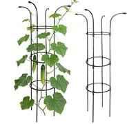 Treillis de Jardin | Décoration Verticale antirouille Stable, Cadre de Tour de Fleurs d'extérieur - pour clématites, légumes, Dragon, Fruits, hortensias, pothos