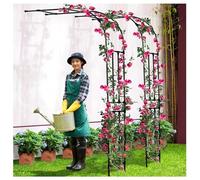 Treillis de jardin en acier robuste, support de voûte plantaire demi-face pour plantes grimpantes et fleurs, facile à assembler