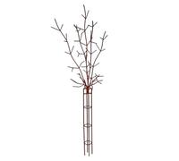 Treillis de Jardin en Fer pour grimpantes, Finition Marron, pour pour la Croissance des conteneurs, Accent décoratif de Cour et Guide de Parterre de Jardin, pour de 25