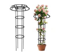 Treillis de jardin - En forme de parapluie vertical toutes saisons - Support de treillis pour en pot | Pour vignes, fleurs, pois, haricots, tomates, clématites, rebord de fenêtre, balcon, cour