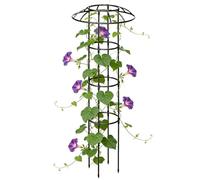 Treillis de jardin en forme de parasol, inoxydable, stable, vertical | Treillis de parasol pour plantes grimpantes telles que vigne, rose, clématites, fruits du dragon, concombre, hortensia