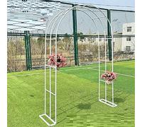 Treillis de jardin en métal galvanisé pour plantes grimpantes, largeur 120-350 cm, profondeur 50 cm, blanc idéal pour roses et vignes (B180 x H230 cm)
