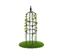 Treillis de jardin en métal pour plantes grimpantes - Support obélisque durable pour une utilisation en intérieur/extérieur - Idéal pour les pois de senteur, les roses, les clématites, les tomates et