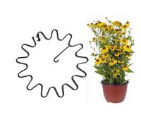 Treillis de jardin en métal, support de en fil rond pour rose avec cadre réutilisable, matériau en fer lourd avec fonction de stabilité, équipement de terrasse, support de croissance de pivoine