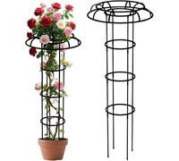 Treillis de Jardin, Forme Parapluie Toutes Saisons, Support for Plantes | For haricots, tomates, vignes, fleurs, clématites, rebord de fenêtre, cour.(95 cm)