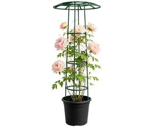 Treillis De Jardin Pour Grimpantes Support pour potagères en forme de
