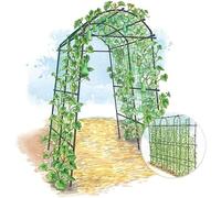 Treillis de jardin pour plantes grimpantes, arche de jardin, tunnel de courge, support en métal léger, cadre A, pour pelouse, plantes grimpantes, concombre, légumes, fleurs, vignes, 270 x 210 cm