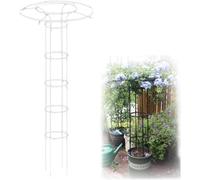 Treillis De Jardin pour Plantes Grimpantes Et Fleurs, Parapluie Vertical Antirouille Treillis Glycine Treillis Fleur Extérieure Support Cage Grimpant Support Support Grimp, White, 180cm/70.8in