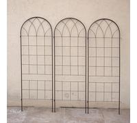 Treillis de jardin pour plantes grimpantes, treillis de support antirouille, clôture murale pour lierre, vigne, rose, clématite