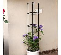 Treillis de jardin réglable en hauteur pour plantes grimpantes, vignes et légumes, support vert durable pour fleurs, concombres et plus encore, 25 x 75 cm