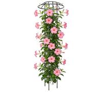 Treillis de jardin, support décoratif vertical antirouille stable pour plantes grimpantes, cadre de tour de fleurs d'extérieur | pour vigne, rose, légumes, dragon, fruits, concombre, hortensias
