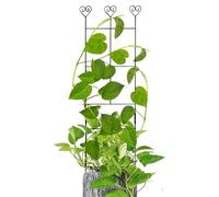 Treillis de jardin Support métal résistant aux intempéries 68,6 x 30,5 cm | Treillis d'extérieur pour grimpantes pour maison terrasse jardinière surélevée pot légume tomate