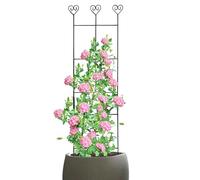 Treillis de jardin Support métal résistant aux intempéries 68,6 x 30,5 cm | Treillis d'extérieur pour grimpantes pour maison terrasse jardinière surélevée pot légume tomate