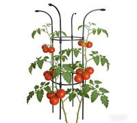 Treillis de Jardin - Supports verticaux résistants à la Rouille pour Tour de Fleurs d'extérieur, pour Vigne, Rose, clématite, Fruit du Dragon, hortensias, pothos