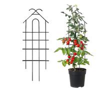 Treillis de Jardin Treillis De Support De Croissance En Métal Pour | Cadre D'Escalade Pour Support Des Vignes Pour Intérieur Extérieur Terrasse Jardin Mariage Légumes Fleurs Vigne Cour Balcon