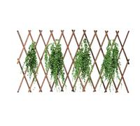 Treillis de la de Vigne - Cadre de Grille de clôture en Bois de Jardin, Grille de Saule de Support de pour légumes de la Vigne, Accessoires de Jardin ajoutent Une Touche de