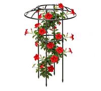 Treillis de parapluie - Support vertical décoratif pour | Cadre obélisque antirouille | Support stable pour rose, clématite, , légumes, dragon, fruits, , terrasse, pelouse