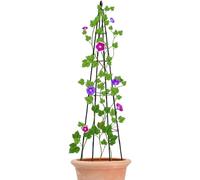 Treillis de pour Pots, tiges de Vigne - Cage d'extérieur pour Fleurs, légumes, d'intérieur en Pot, Lierre, terrasse, pelouse, Jardin